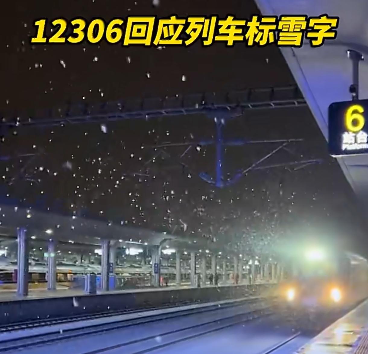 12306车次带雪字 滑雪党福音！雪具能随车走了
 
买东北高铁票看到“雪”字标