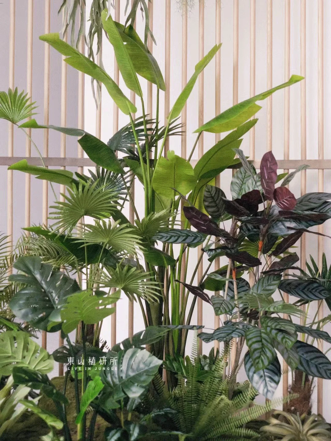 植物造景| 商业空间里的热带风情🌴