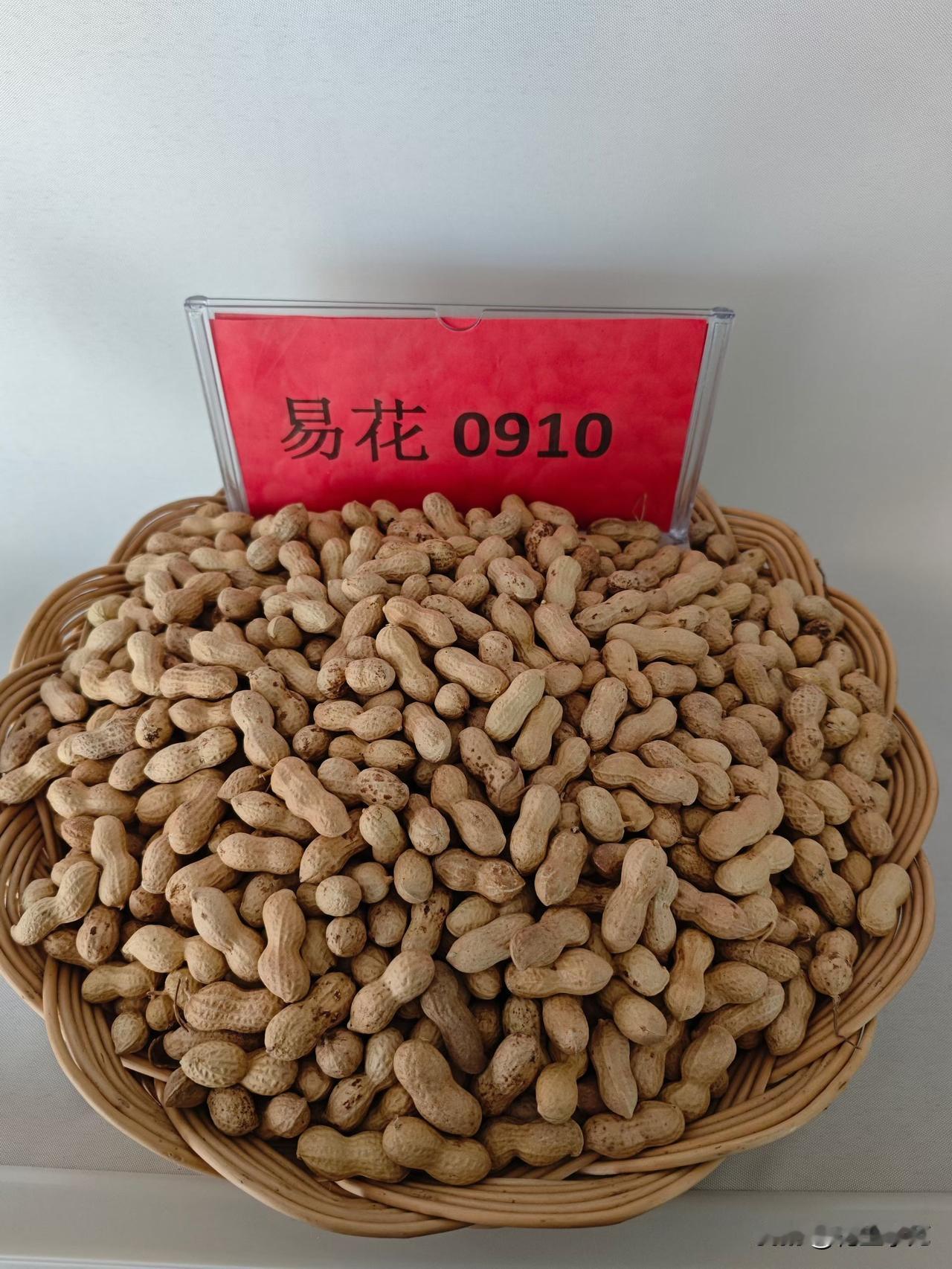 花育系列通货米收3.7-3.9左右，白沙通货米收3.6-3.8左右，杠三通货米收
