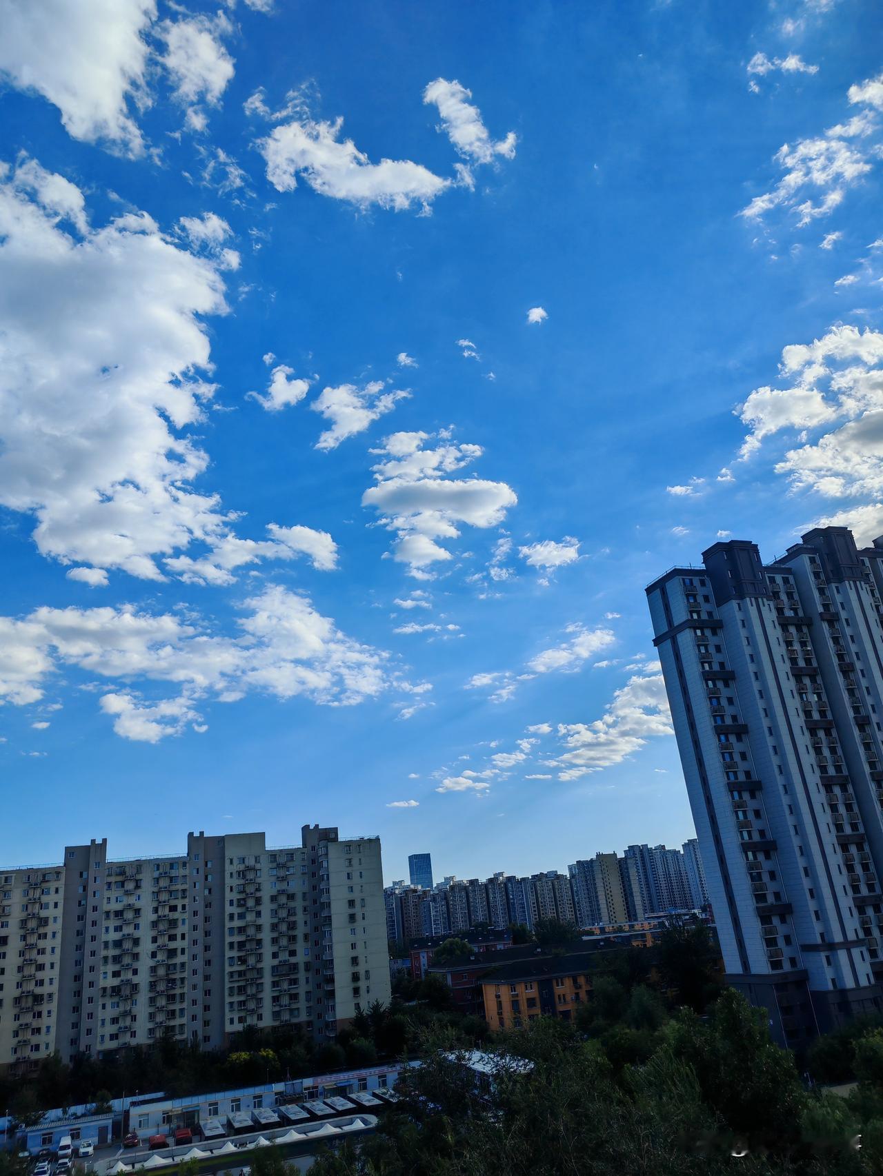 为什么不在乎
谁都在乎
除了傻子