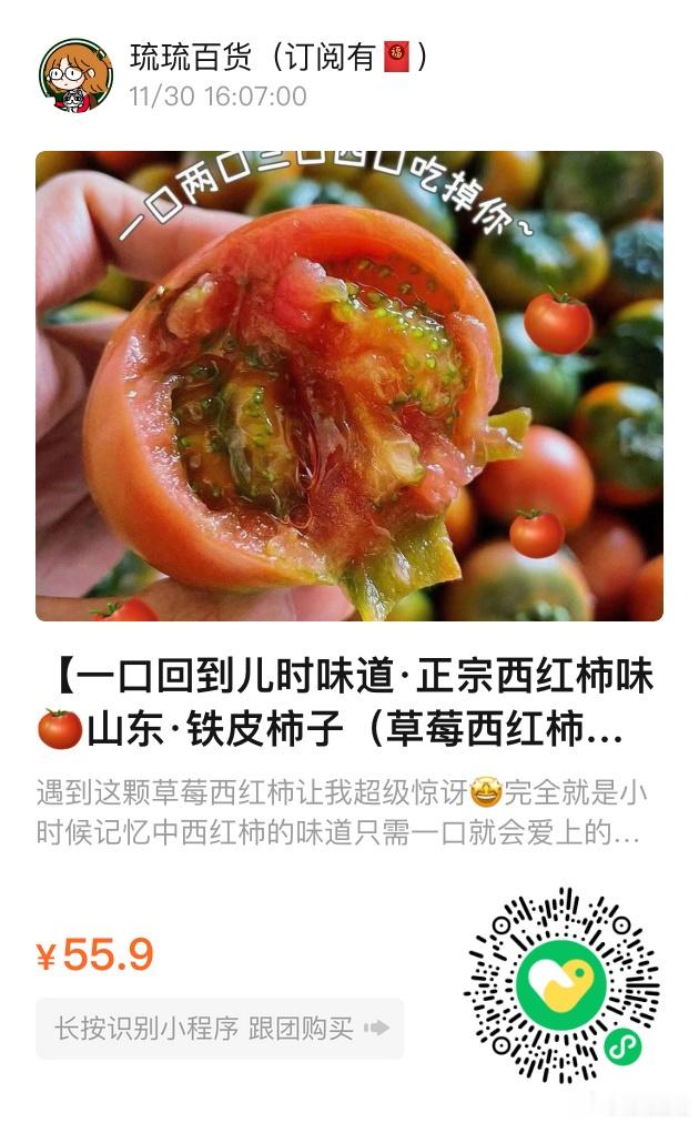 📢琉琉百货时间📢吃铁皮柿子🍅啦！草莓西红柿，番茄味超浓郁！是普通西红柿无法