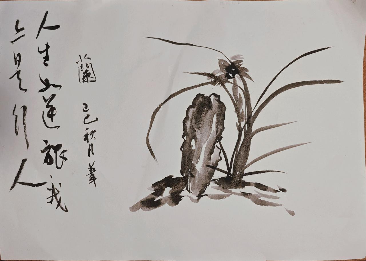 人生如逆旅，我亦是行人。