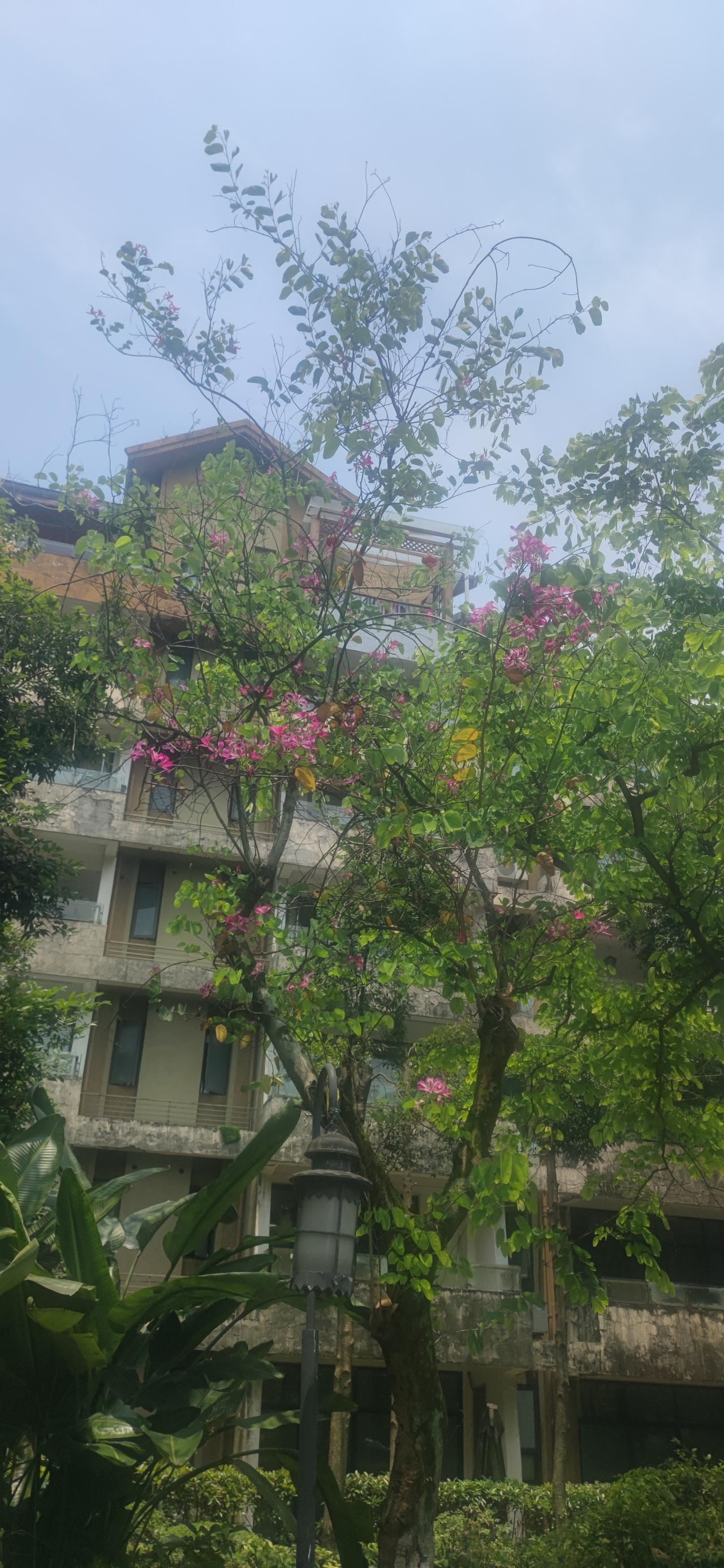 文化和旅游部于7月3日公布了今年第四批旅游市场强制消费典型案例，集中曝光14起研