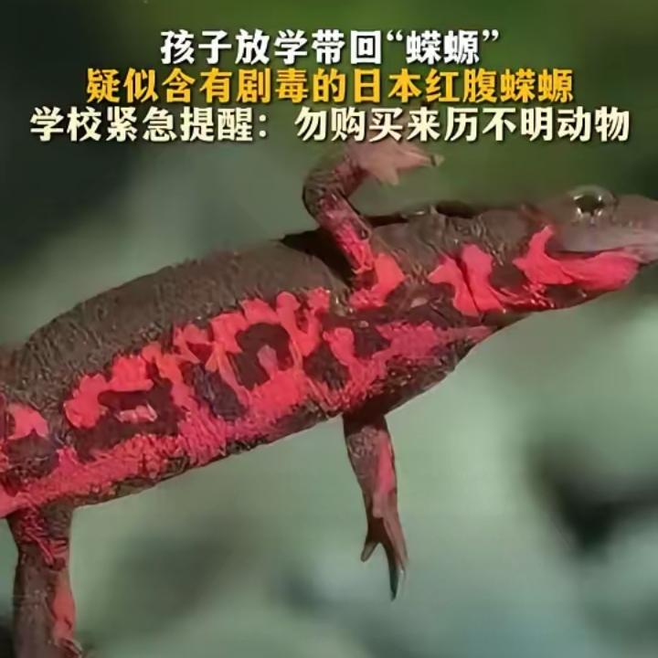 3月19日，湖南长沙曝出一件让所有家长头皮发麻的事：有家长发现，孩子放学从校门口