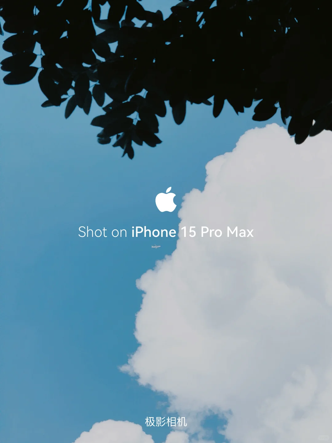 国庆拍照神器 | 极影相机让Live图惊艳出圈