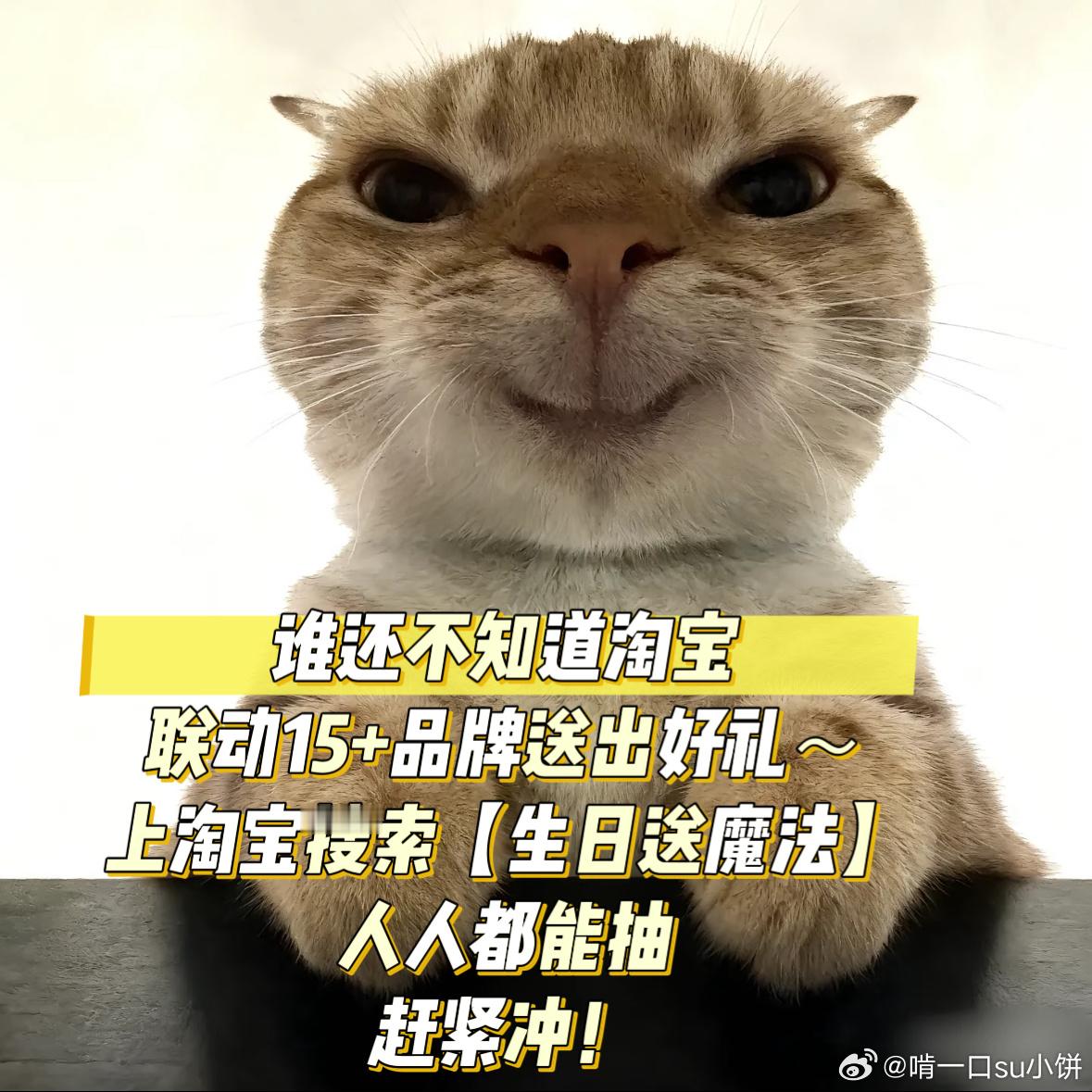 淘宝送你魔法实现心愿几岁不重要，魔法加持才重要。淘宝，你是懂生日仪式感的。7.2