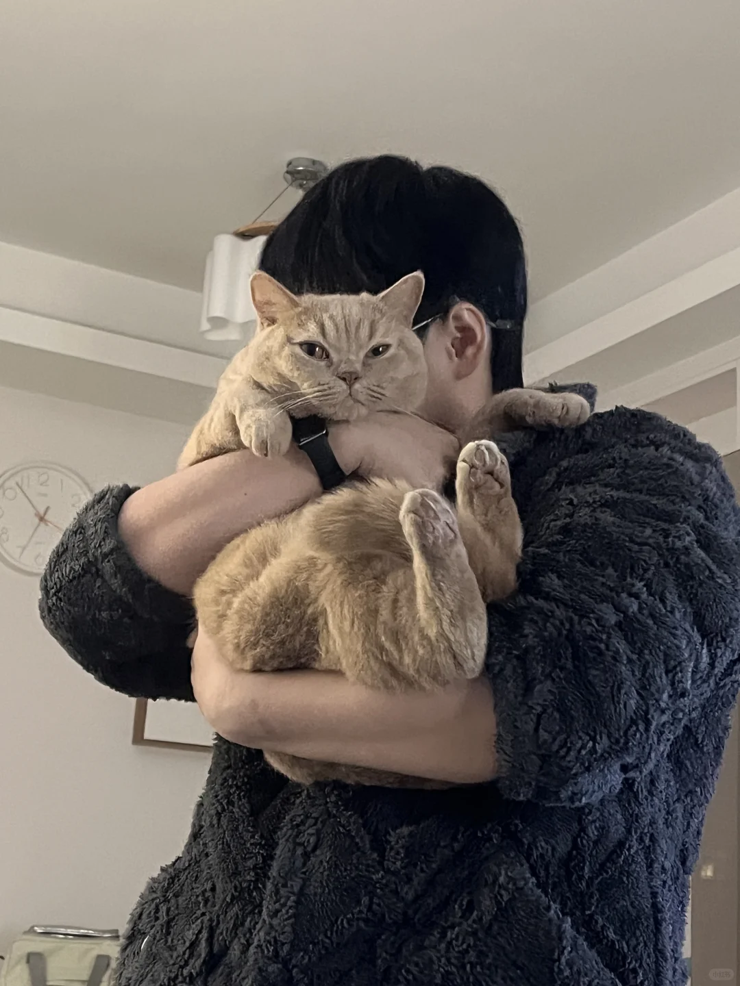 求求🥺了，真的没睡醒