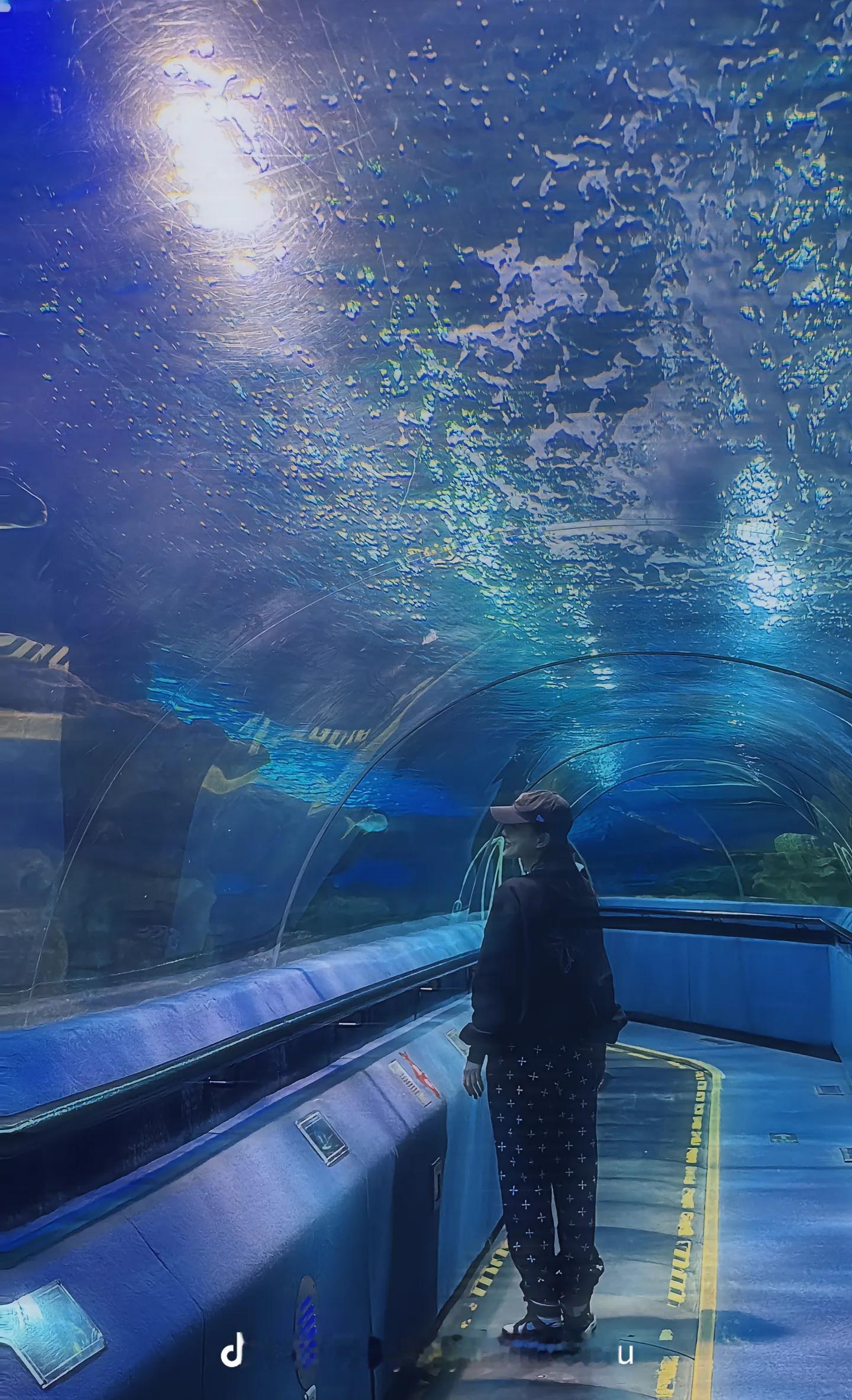 “守护好自己的平静，平静就会反过来守护自己。”#一璐同行[超话]##李小璐正能量