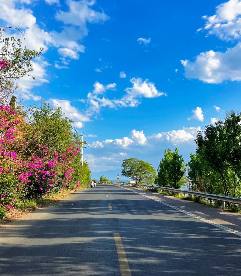 孩子过年不回家，就是对父母无声的报复！
今年过年，楼下的张阿姨，是一个人过的年。