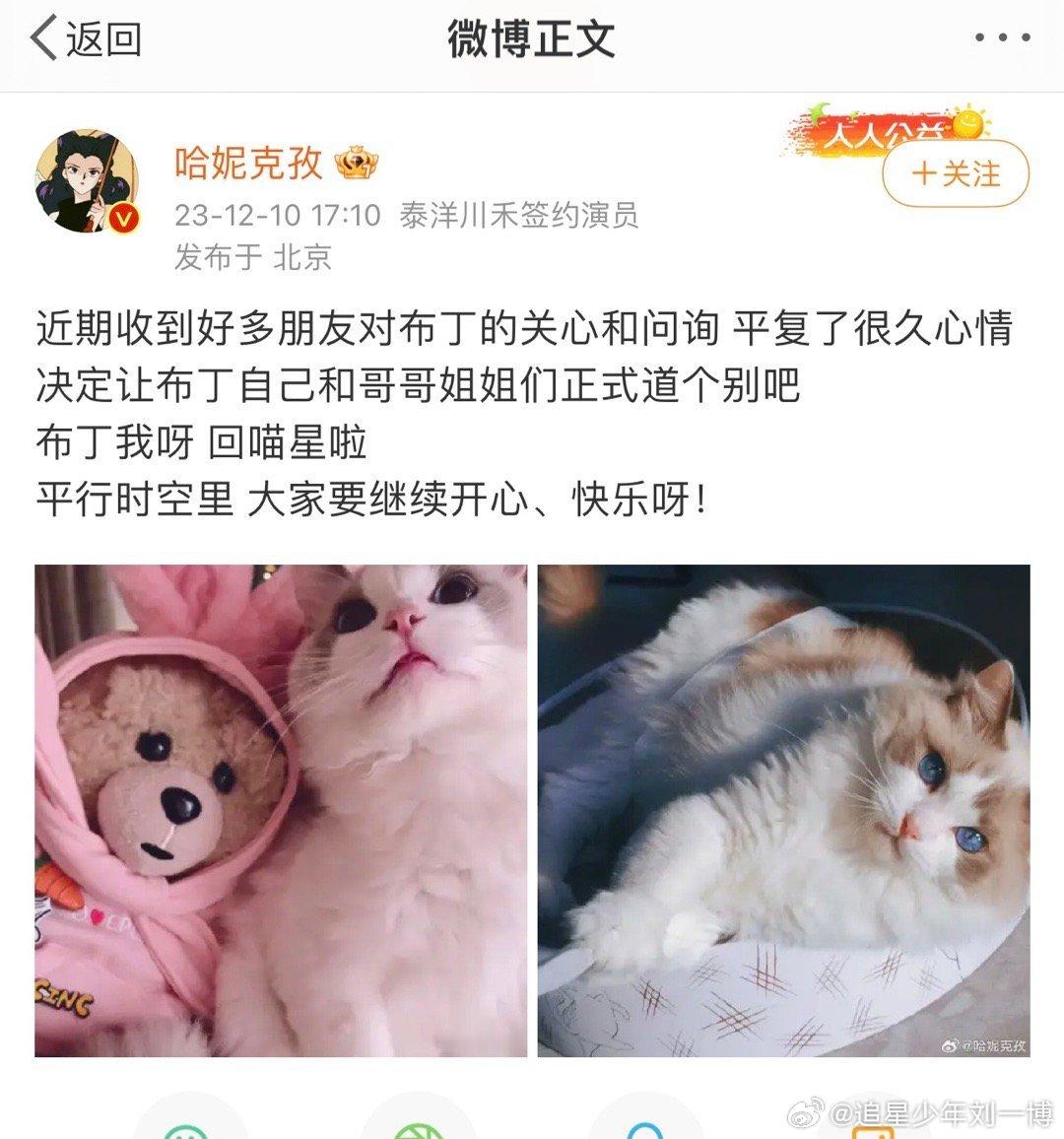 #哈妮克孜养宠物要承受住离别打击#养宠物的我们真的是深有体会，当宠物和我们离别的