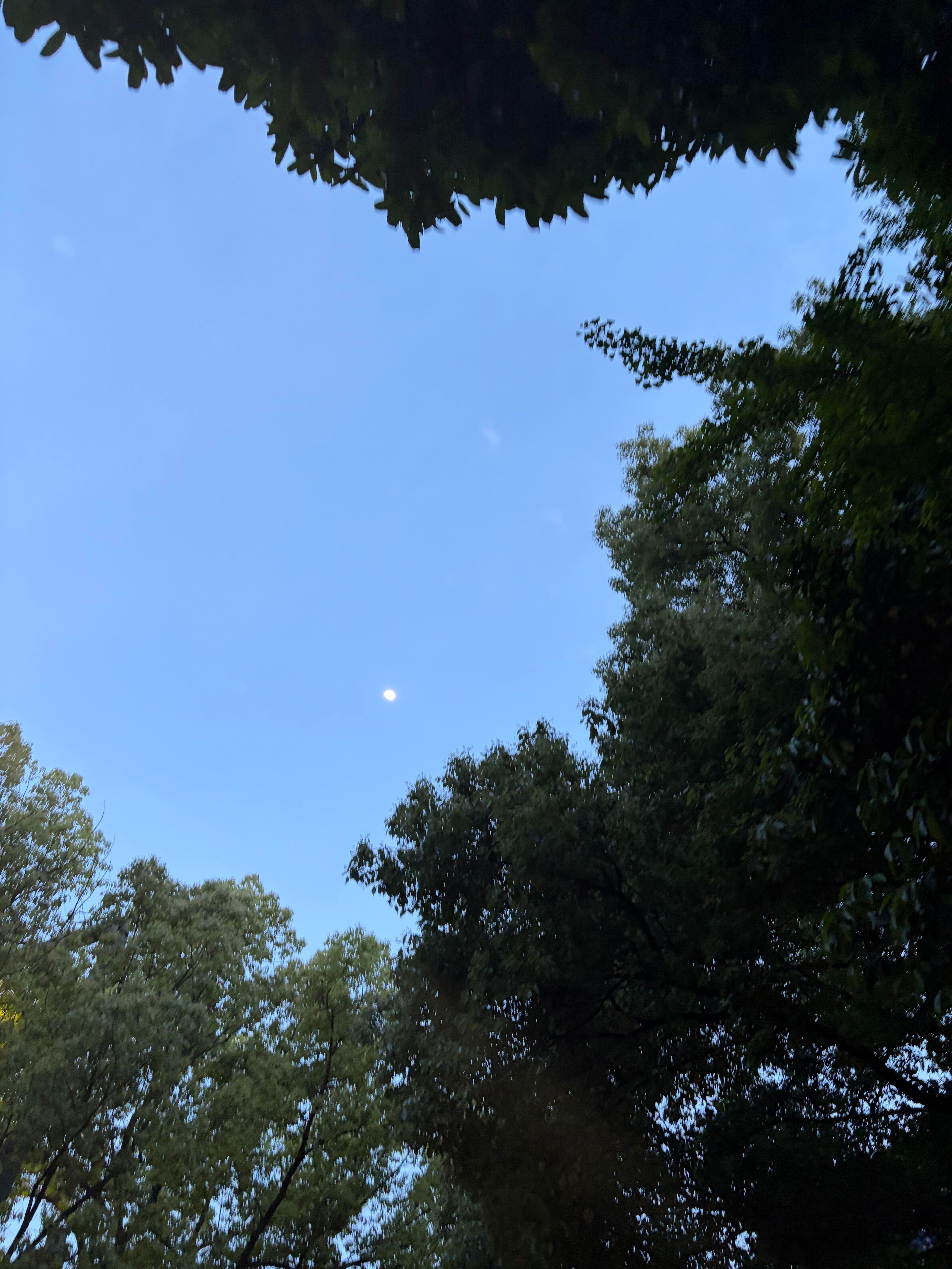有一种时光叫友情岁月，少年时的友谊，未经世事的纯粹。岁月冲刷，或许走散，愿再相逢