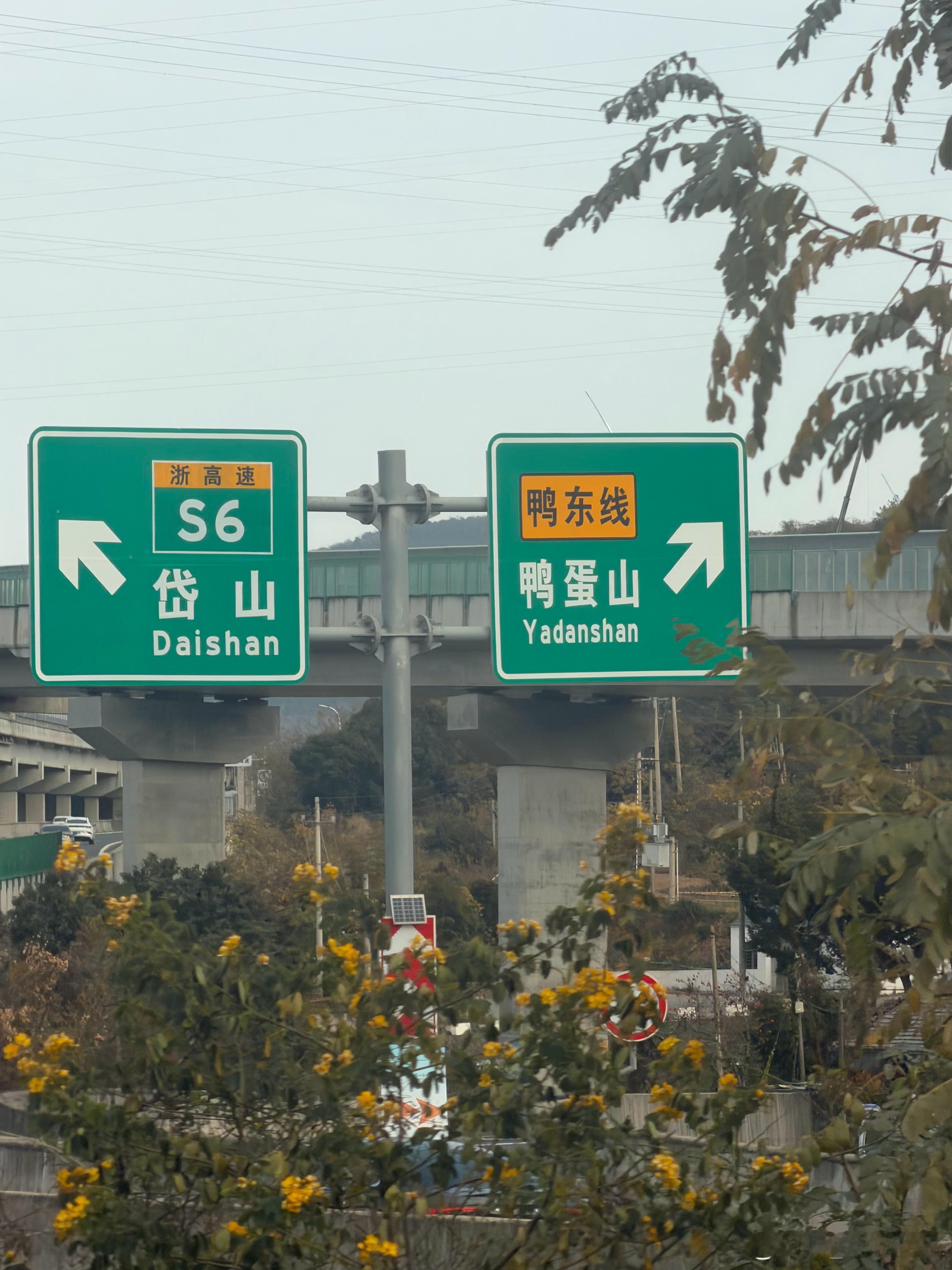 印象中小时候大人总说，考试别考个鸭蛋！所以为什么是鸭蛋？不是鸡蛋、鹅蛋或者其他蛋