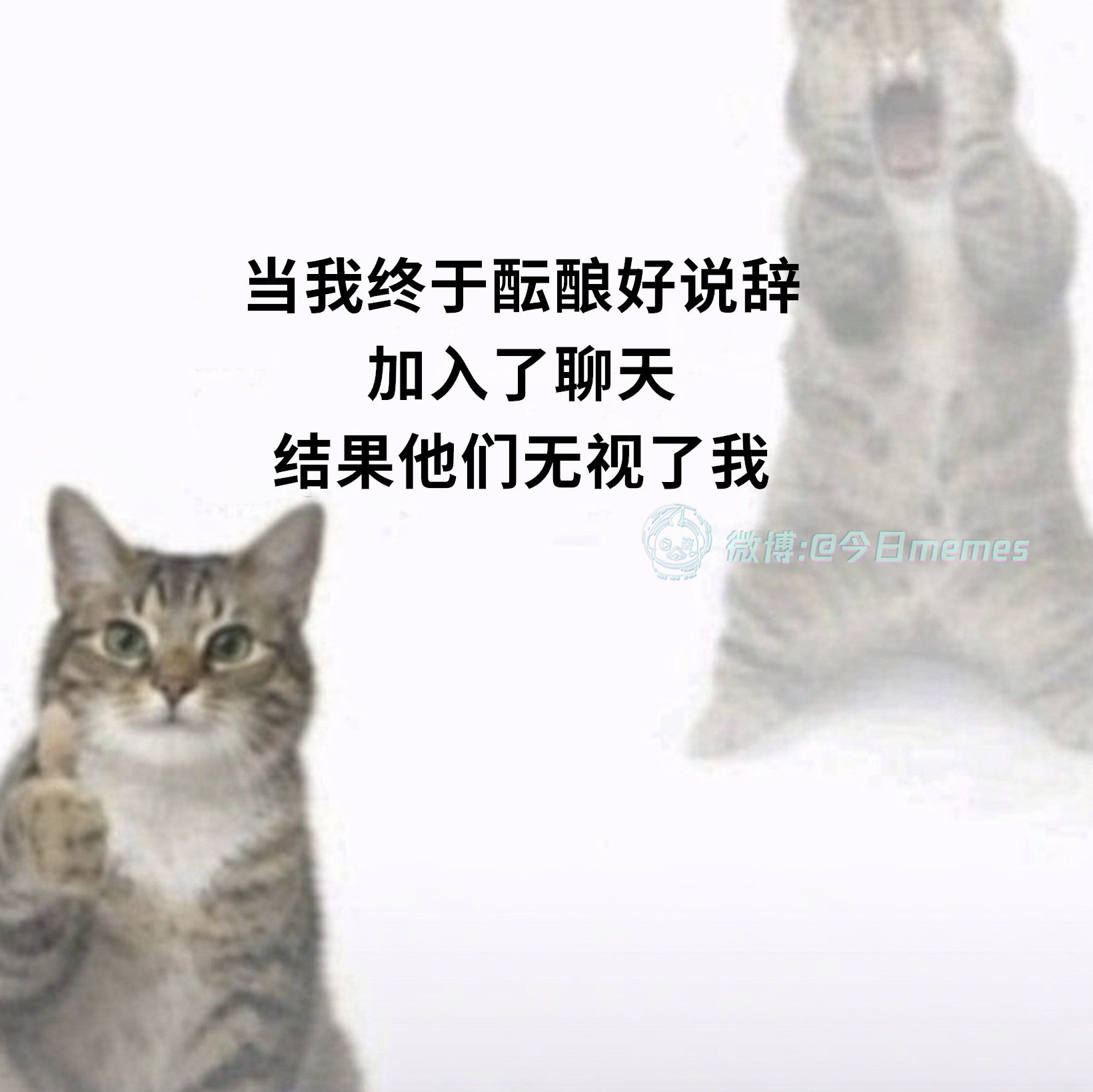 嘿我草（9gag）今日meme今日memes