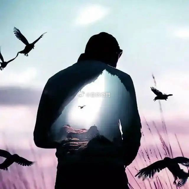 头像分析身上那么大块洞🕳️内脏都出来了，一堆黑乌鸦🐦⬛要是中老年人可扛不住！