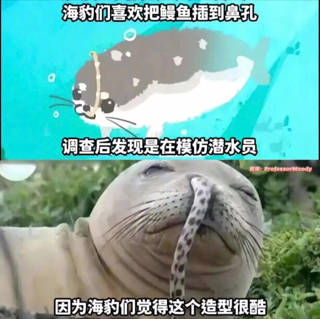 怎么调查？问卷还是现场采访 