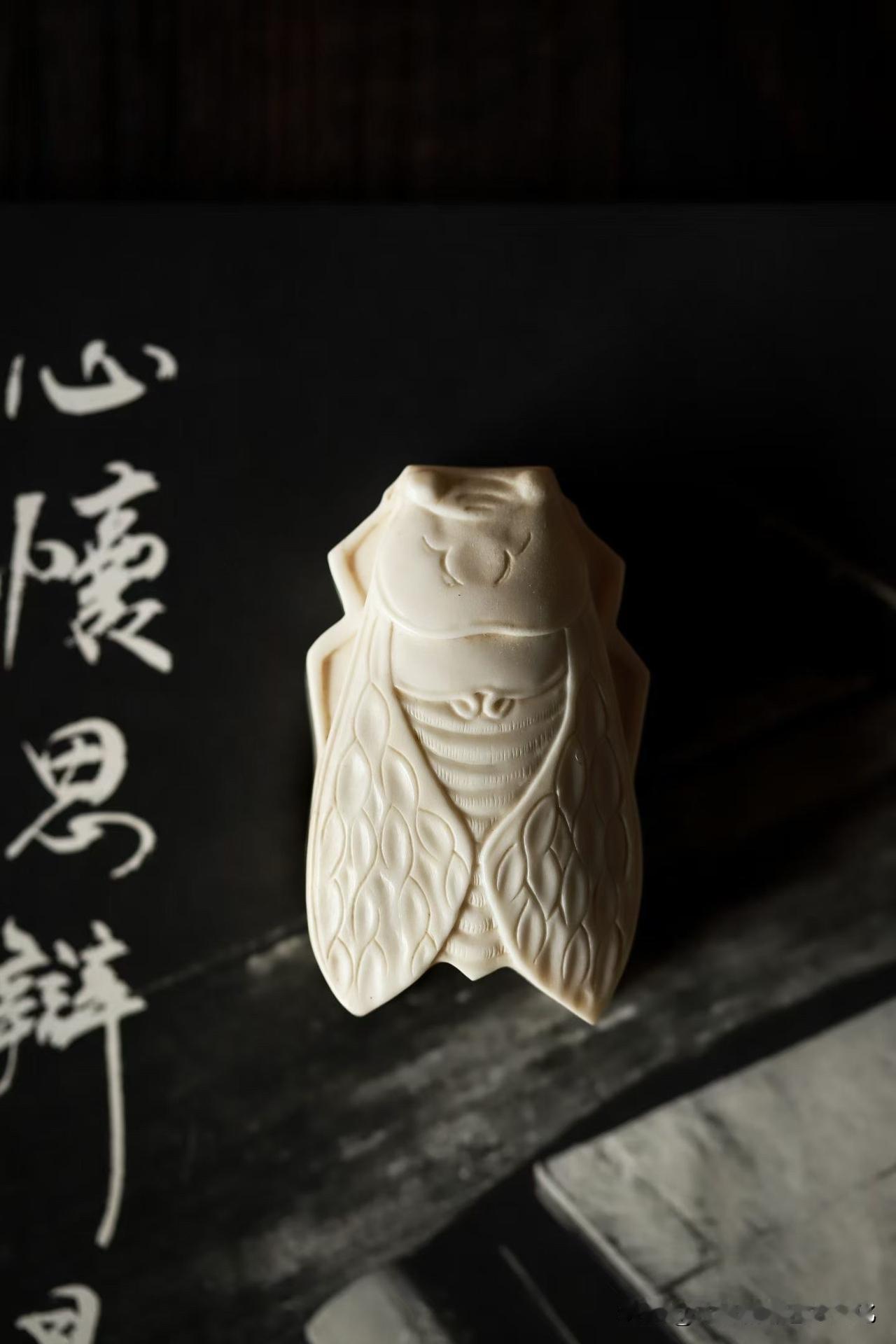 鹿角蝉形收纳盒｜藏细碎美好，守一方慢时光✨

生活总被繁杂琐事填满，总想有个小小