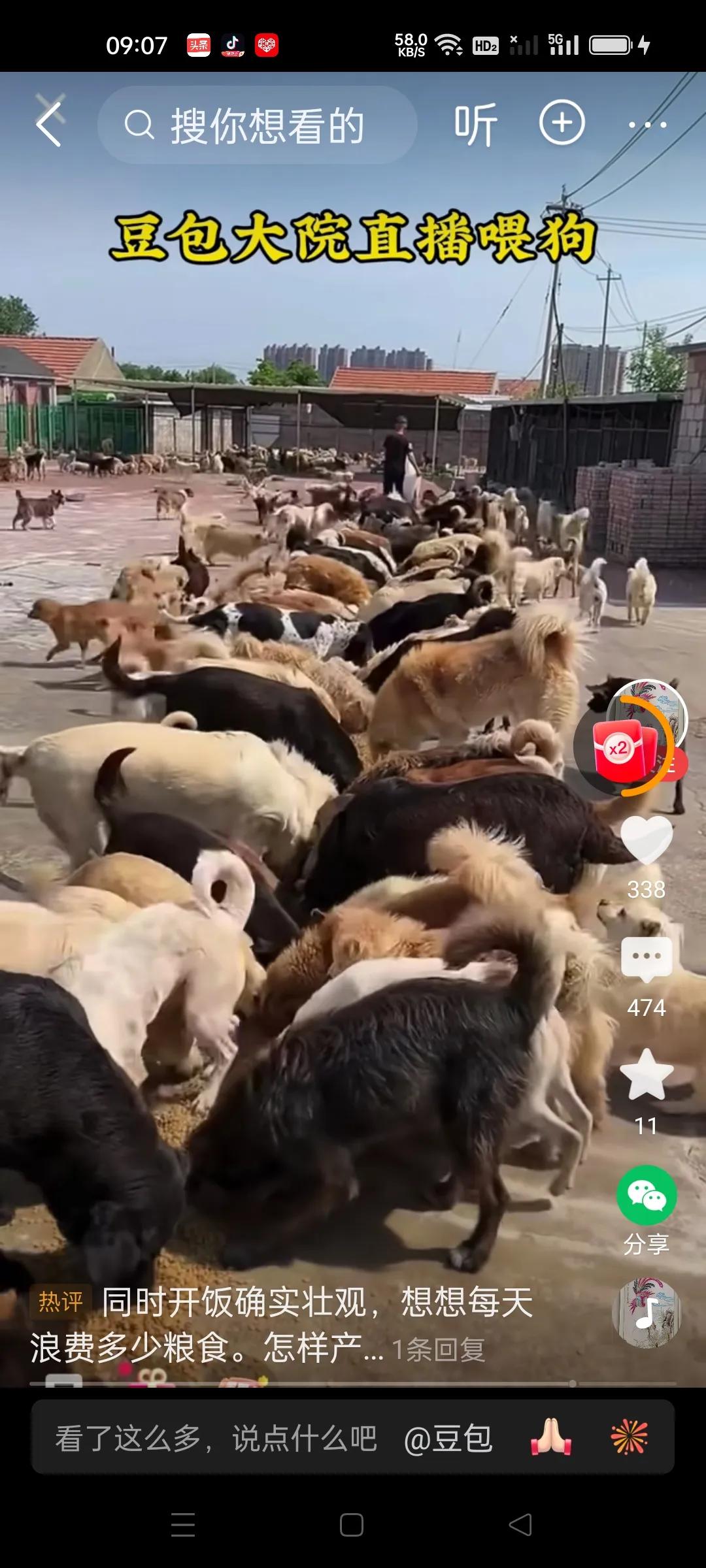 城市小区养狗就是快乐，自己坑害他人？
宠物经济就是拿人的生命不当回事。破坏了人生