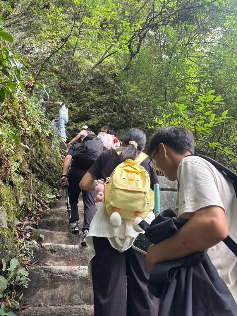 重庆金佛山还是挺累的，我徒步的水平很一般，我的体质下降了很多，如此艰难的路程也坚