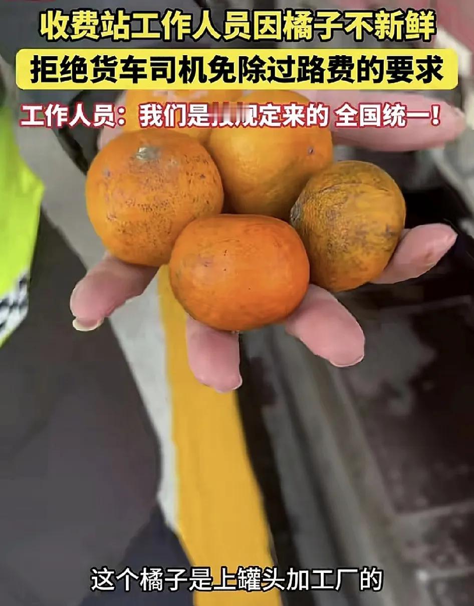 12月28日，浙江台州一货车司机拉的橘子因为不够新鲜，被收费站的工作人员拒绝免除