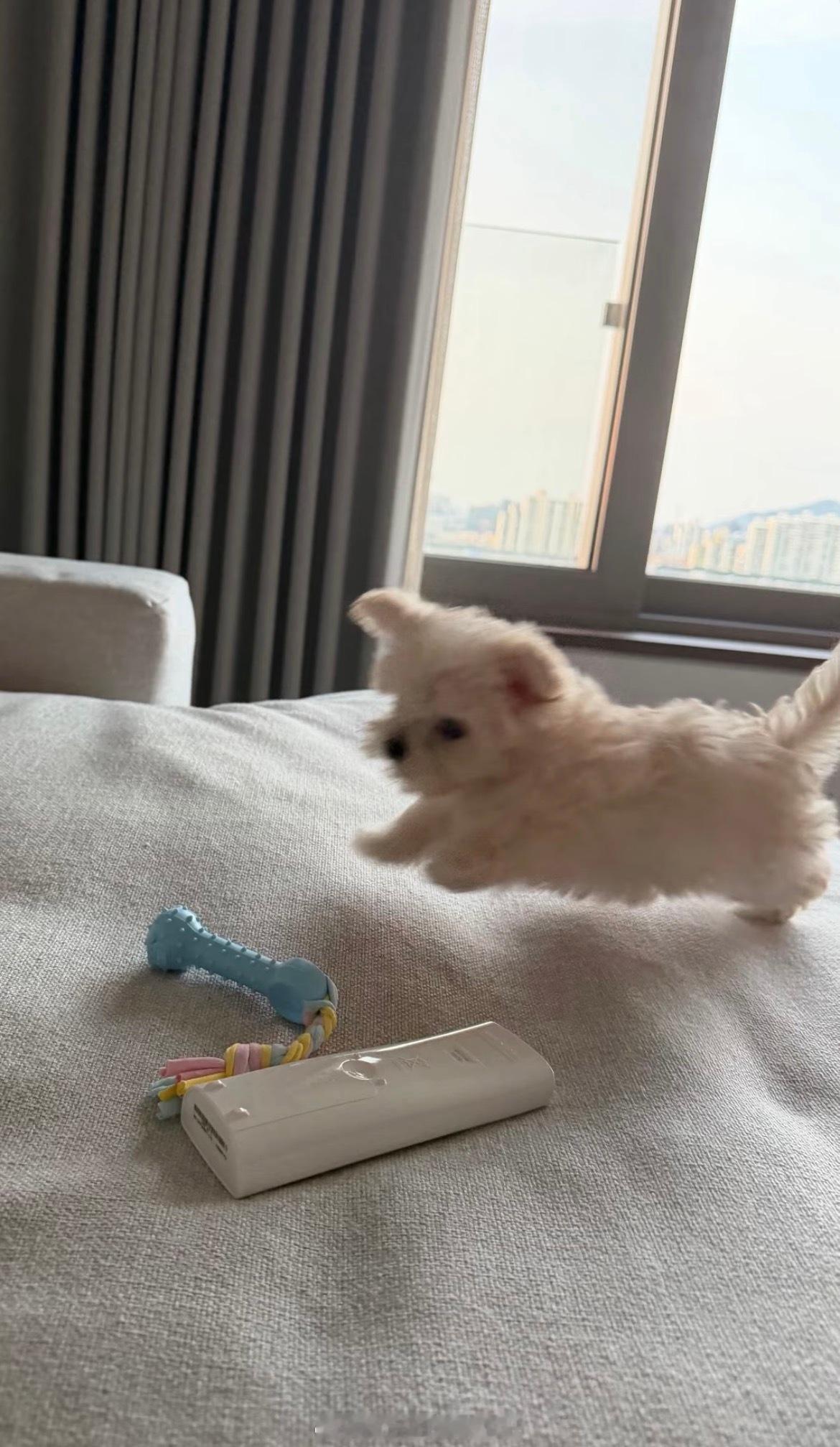 確實很像🤭 