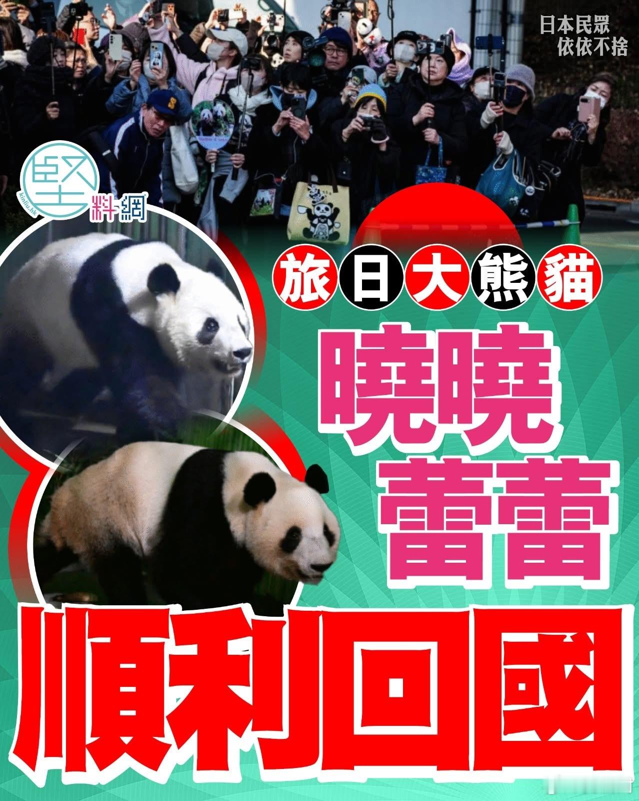 外交部新闻发言人表示：“我们一如既往欢迎日本民众来中国看大熊猫。”旅日大熊猫回国
