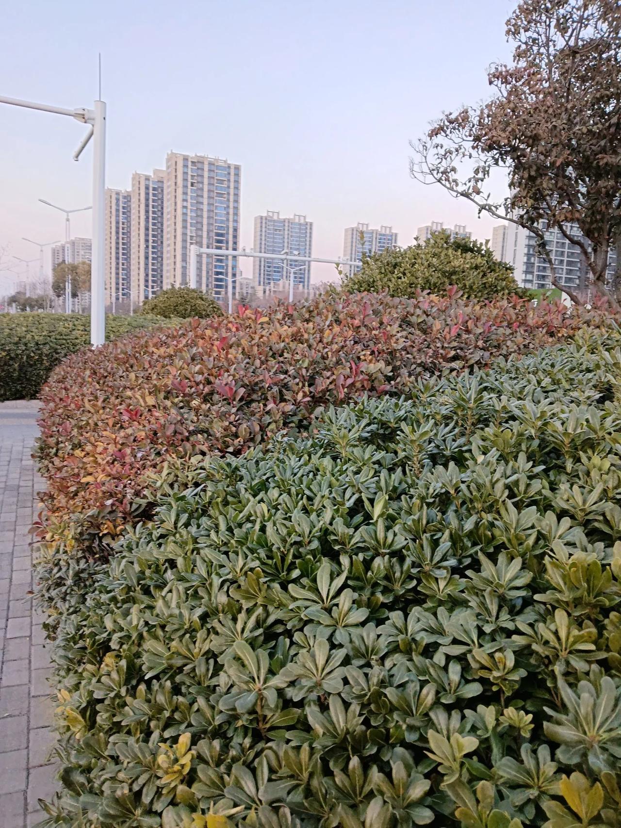 街拍分享