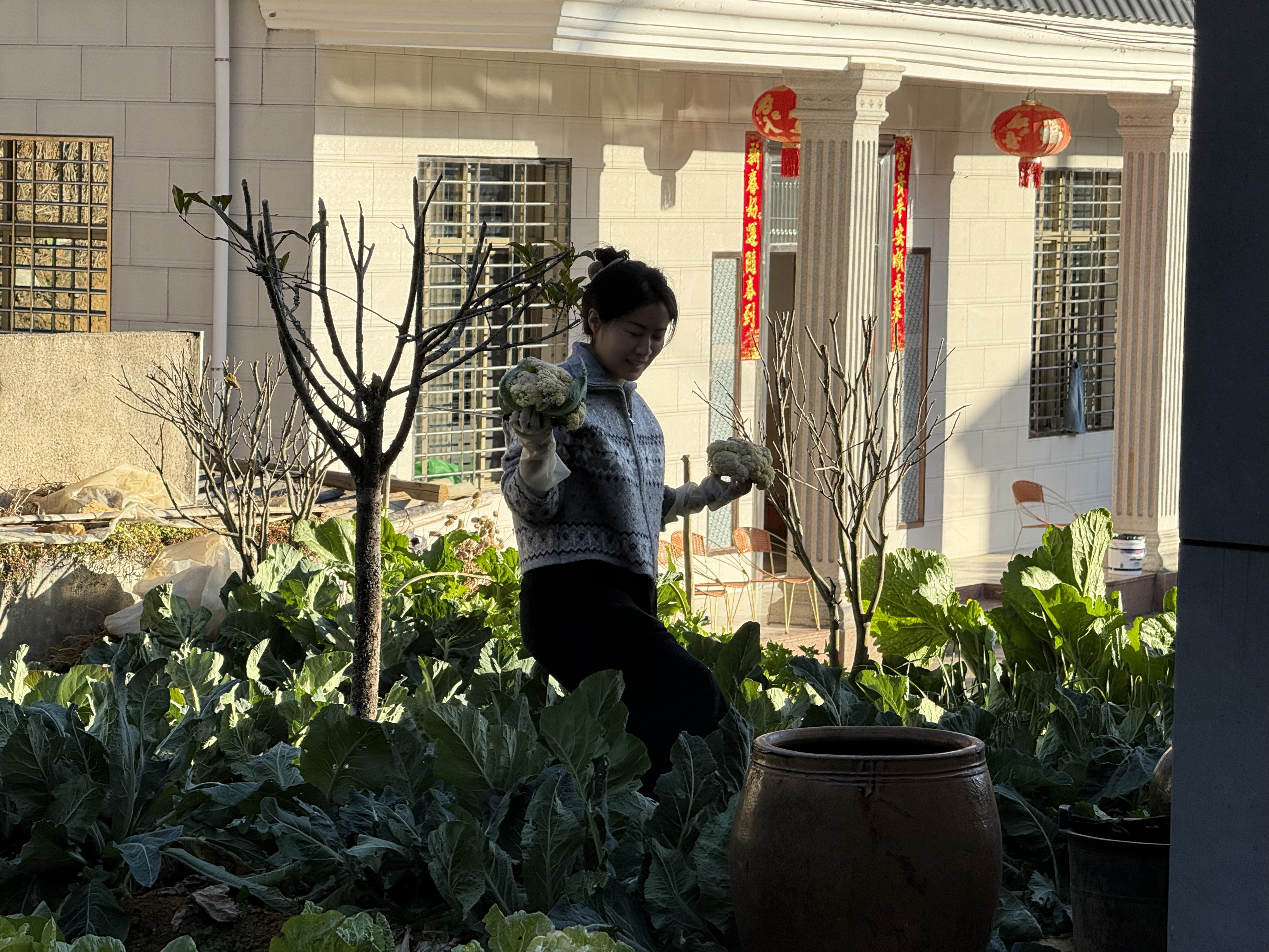 今年想找个地方生活一两个月，不是旅游那种，是真的在那里生活和工作，有个大院子，自