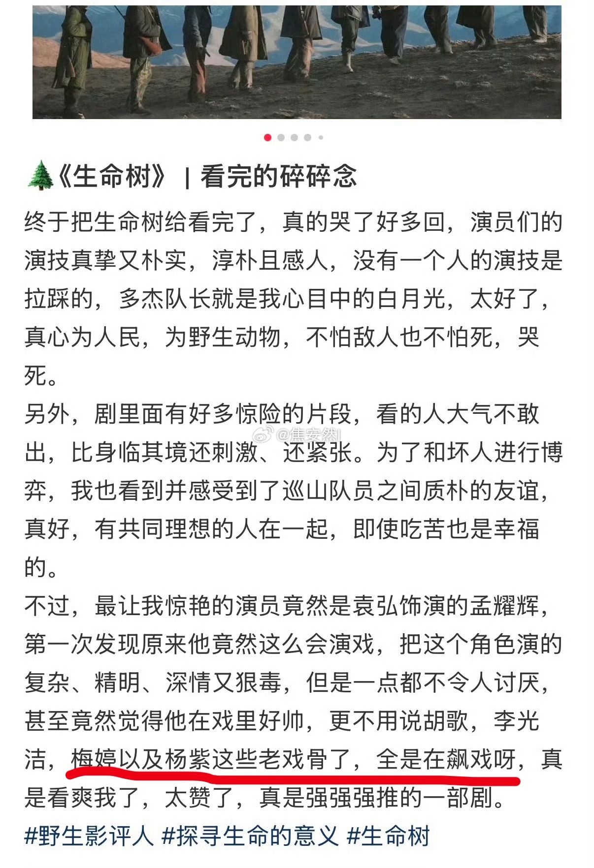 在观众的心中，杨紫早就是老戏骨了 