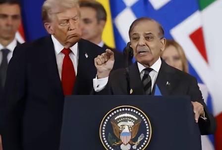 夏巴兹终究是签下了那纸文件，那一刻，仿佛整个巴基斯坦的空气都凝固了。民众们从电视