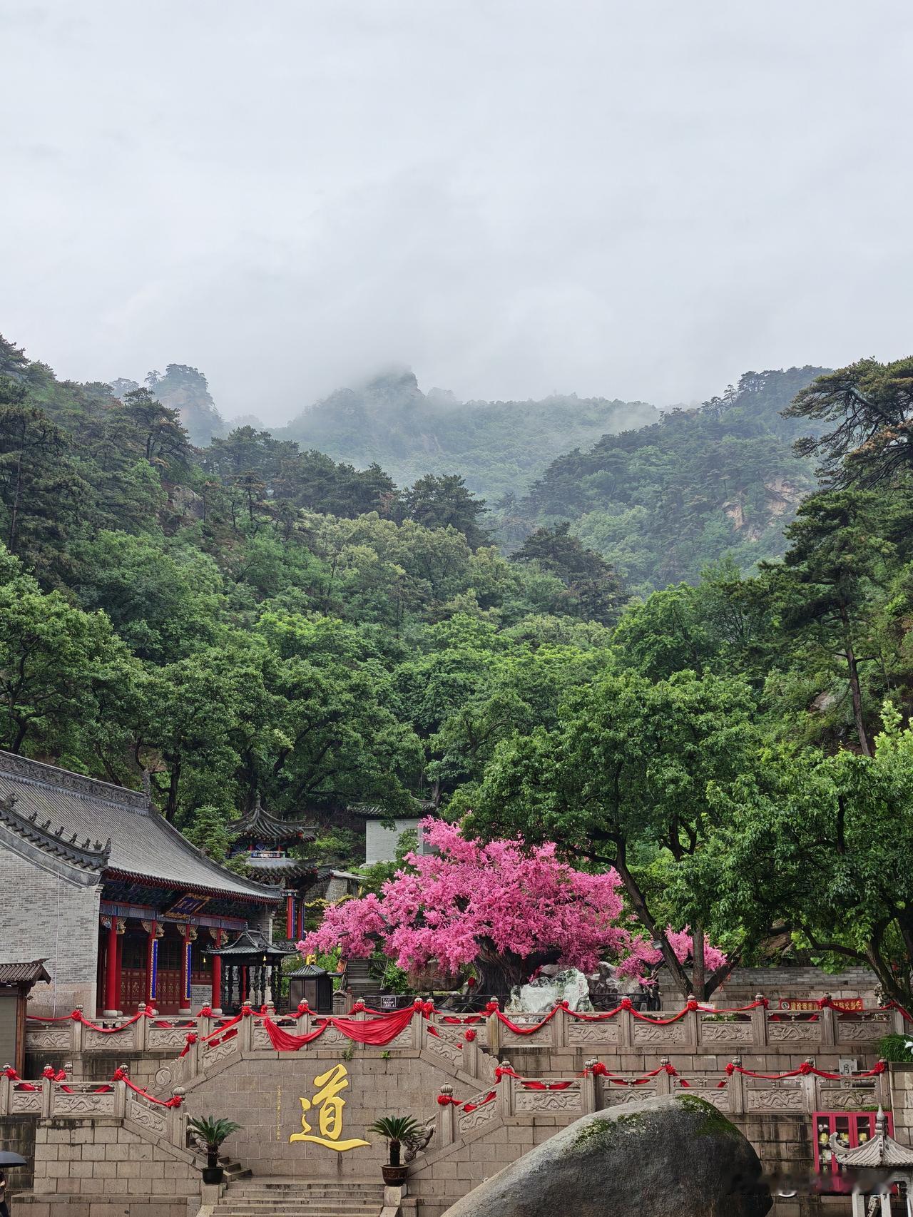 雨中千山五龙宫。