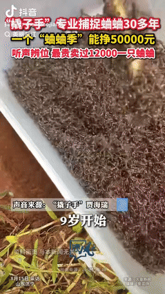 “赚大发了！”山东济宁，一男子专业抓蟋蟀30多年，练出了光听声音，就能判断蛐蛐的