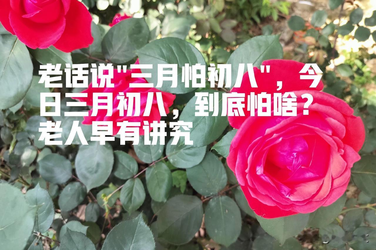 老话说"三月怕初八"，今日三月初八，到底怕啥？老人早有讲究
 






咱河