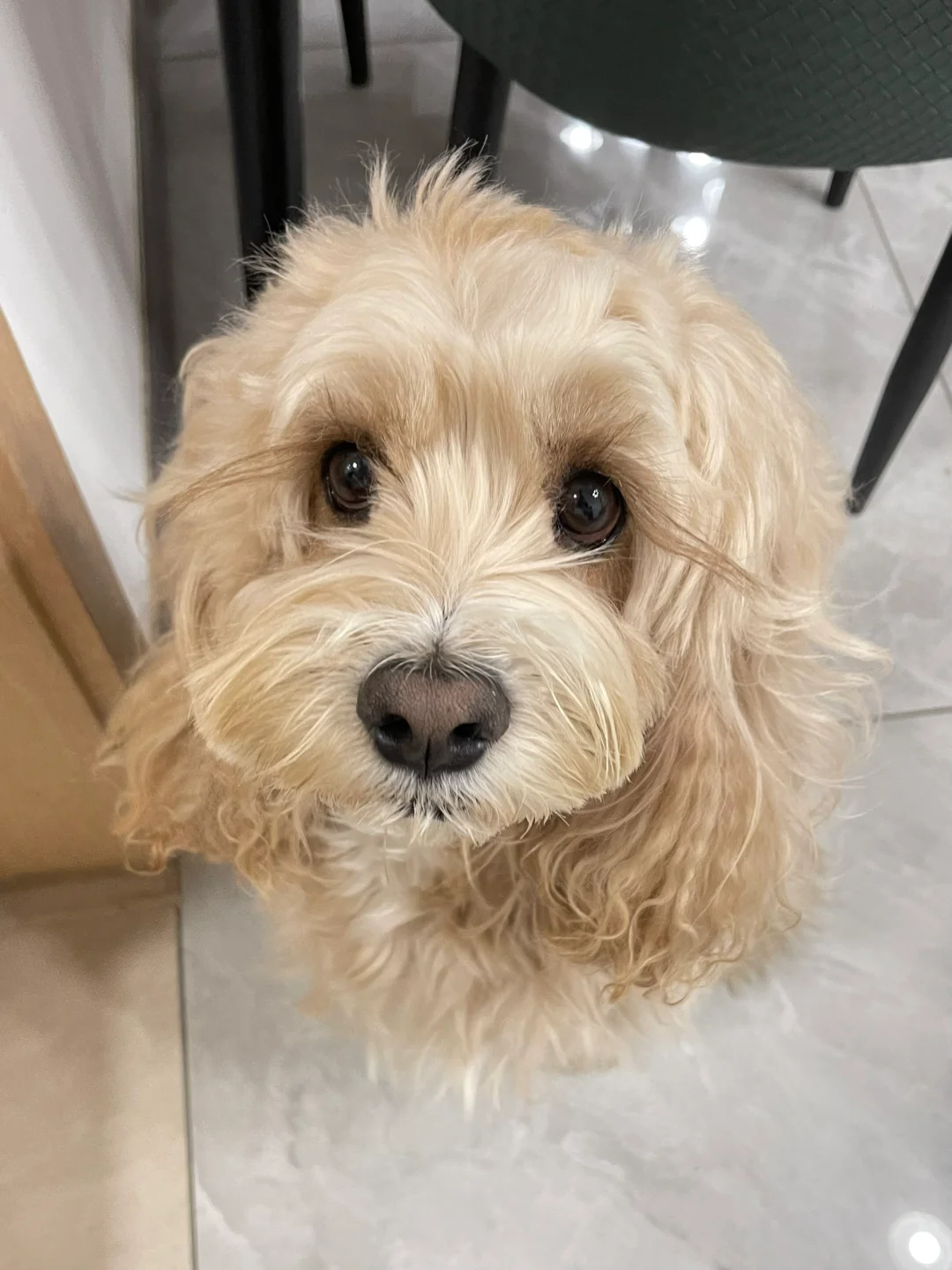 你上辈子是个厨师吧🧑‍🍳