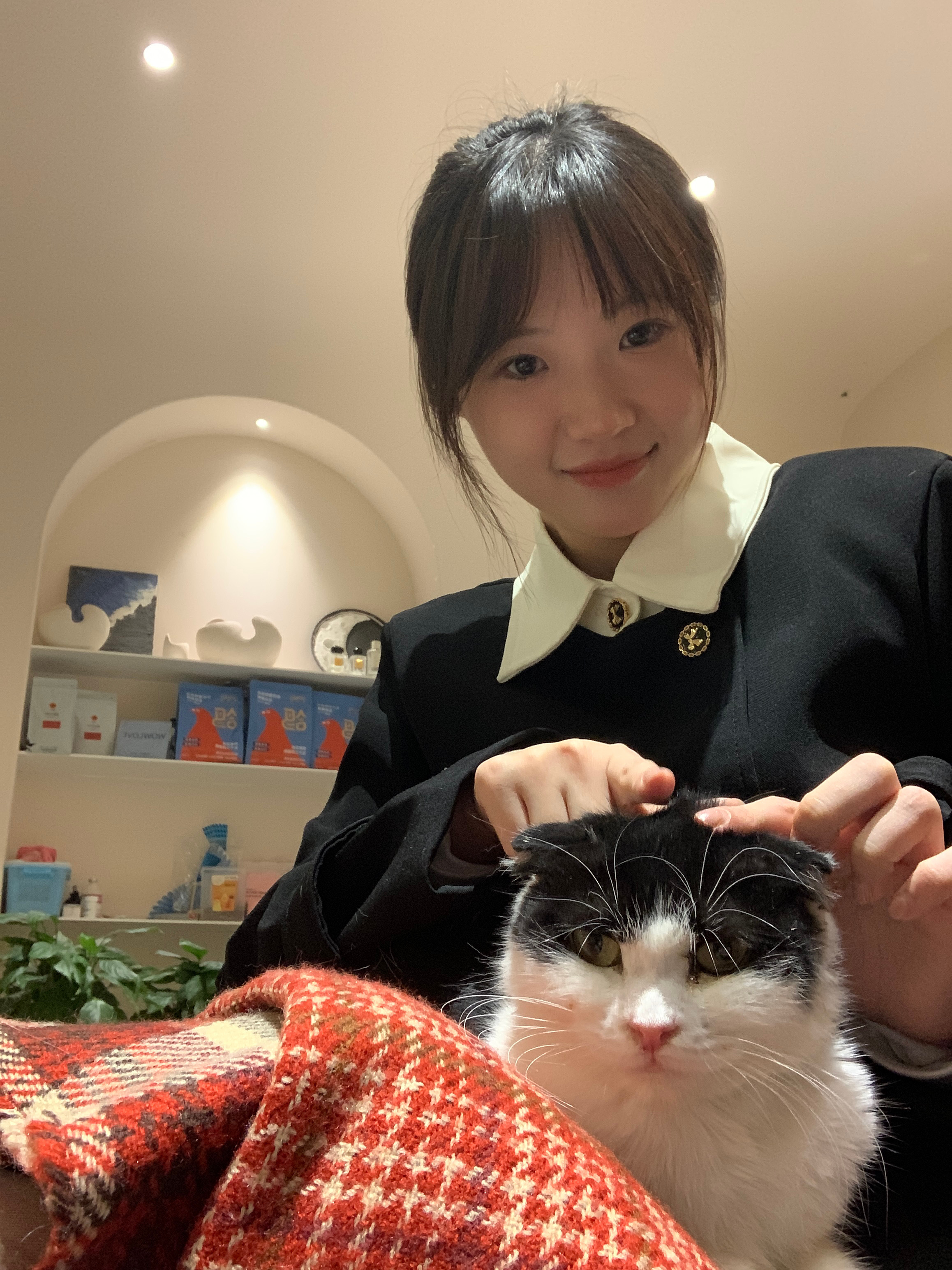 #日常[超话]# 随机吃掉一只小猫咪 ​​​