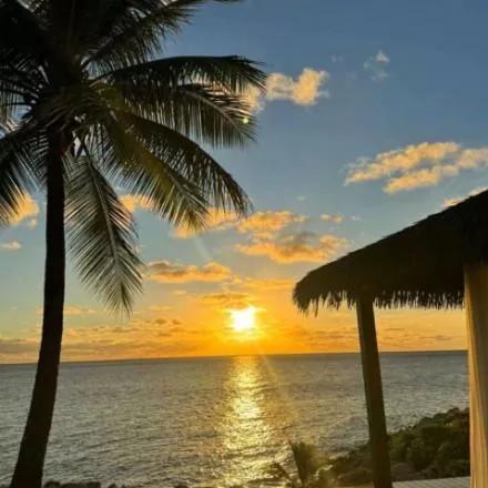夕阳西下，椰林海边，宁静而美丽。夕阳下海边风光 海边日落景 海边落日景 夕阳下海