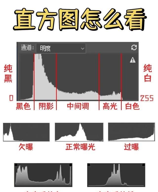 别再让雾景变灰！掌握‘白加黑减’秘诀，直方图教你精准曝光

清晨的山谷被雾填满，