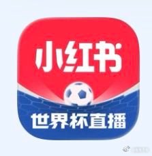 小红书.设计了个世界上最丑的logo....