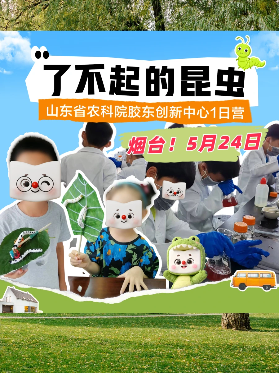 烟台溜娃|一天玩转桑蚕文化+科学实验！
