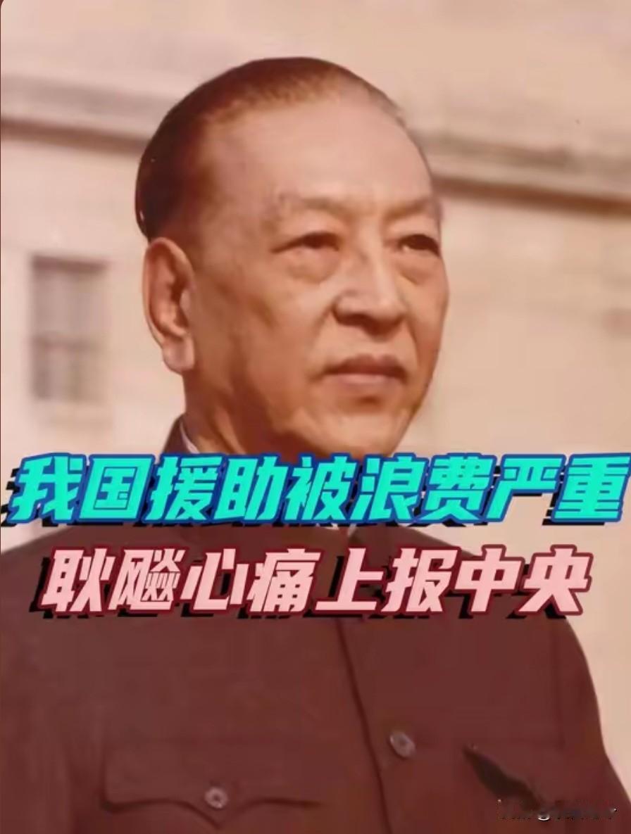 1969年，耿飚意外发现中国援阿尔巴尼亚的大量化肥被随意堆放在田间地头，任凭日晒