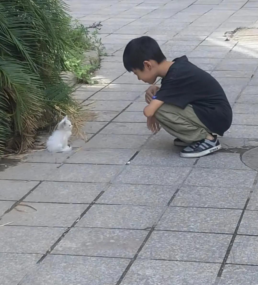 #秋日生活随拍#一个小男孩和流浪猫聊天，小猫咪好像听得懂，这是最纯洁的两个生物的