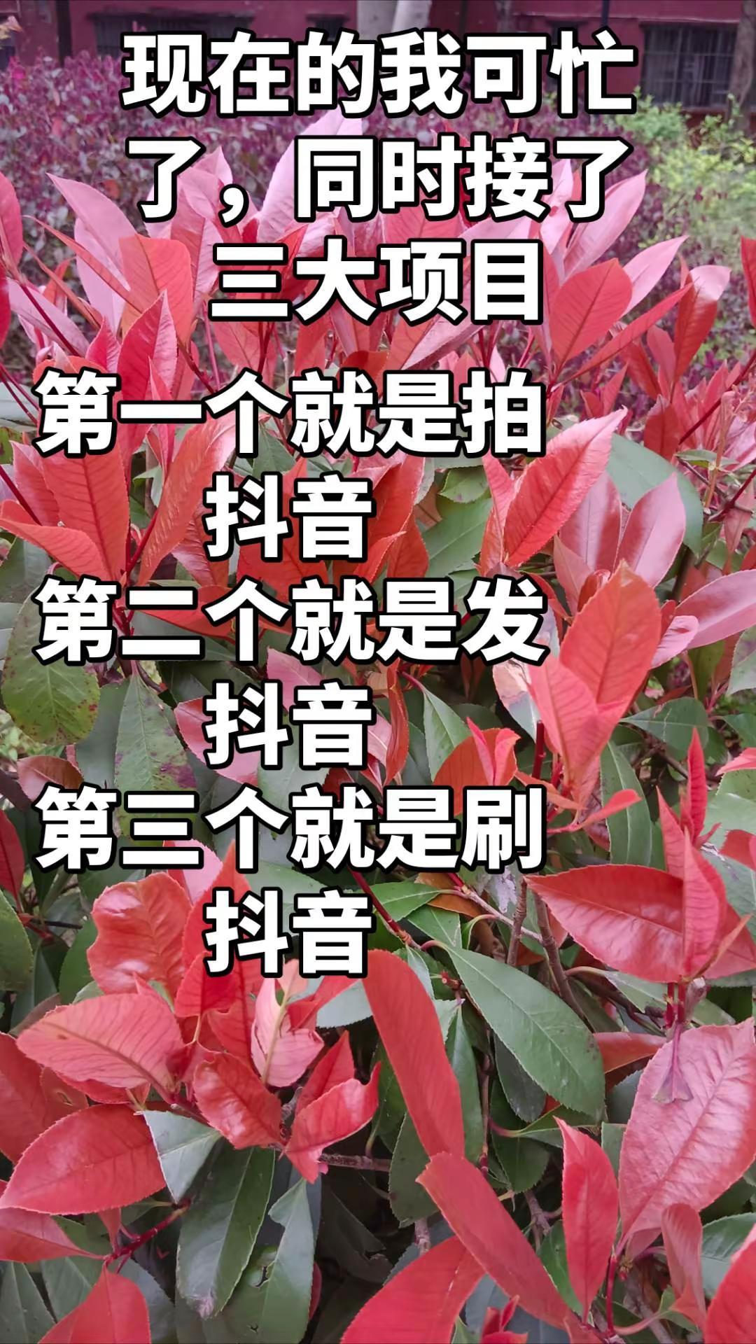 每天忙不停，可没见到mony