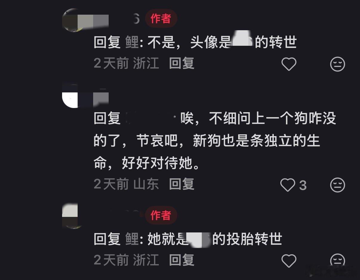 -甚至别说博主了，在不牵绳导致小狗被撞死这件事情上，连作为一个文明养宠人都不达标