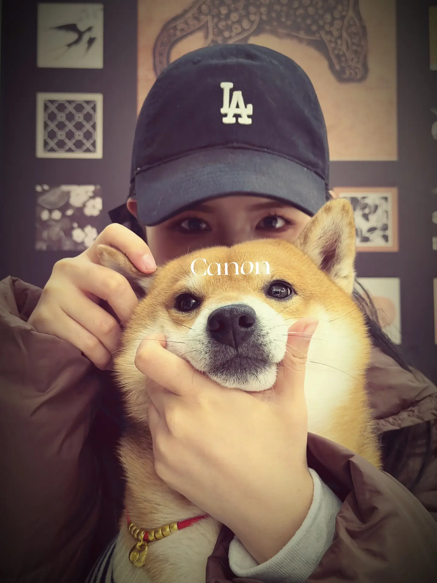 不会现在还有人没有小狗相机吧