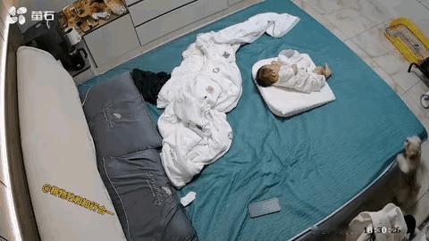 家里有小孩儿，一定要看住小狗，并且要保持小孩身边又有人，否则出现画面中的这种情况
