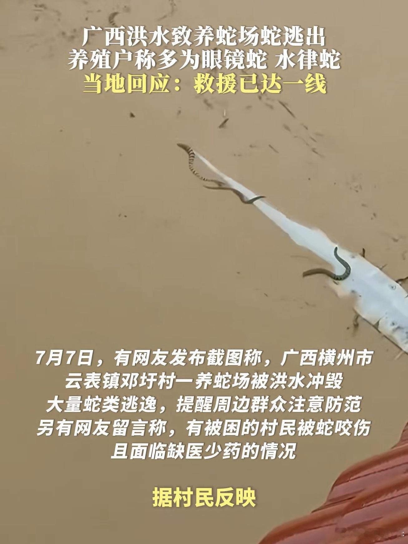 横州急需蛇毒血清有人被毒蛇咬伤     横州市人民医院系广西蛇伤救治中心在横州的