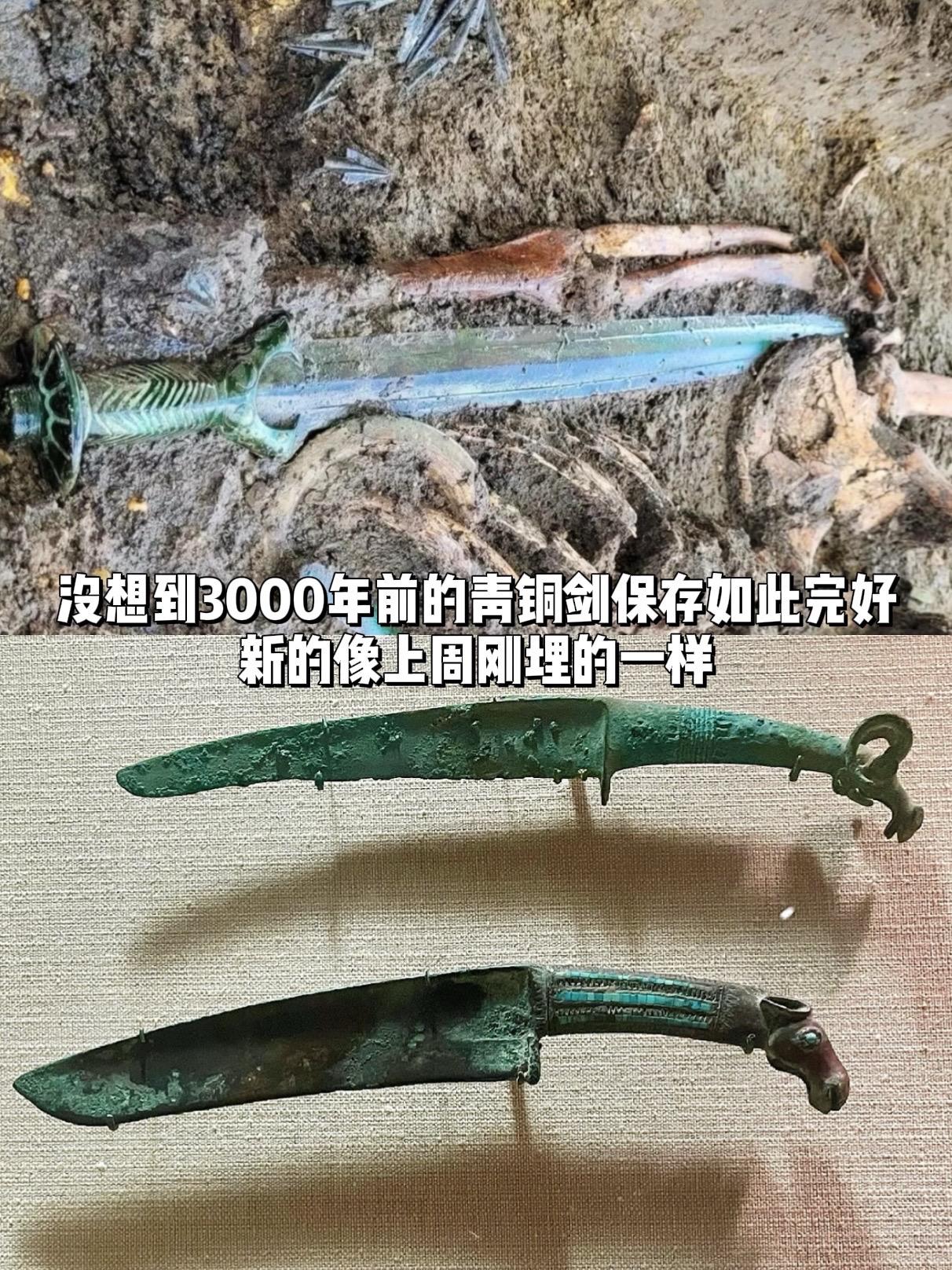 没想到3000多年前的青铜剑竟保存如此新。德国巴伐利亚邦出土了一把青铜...