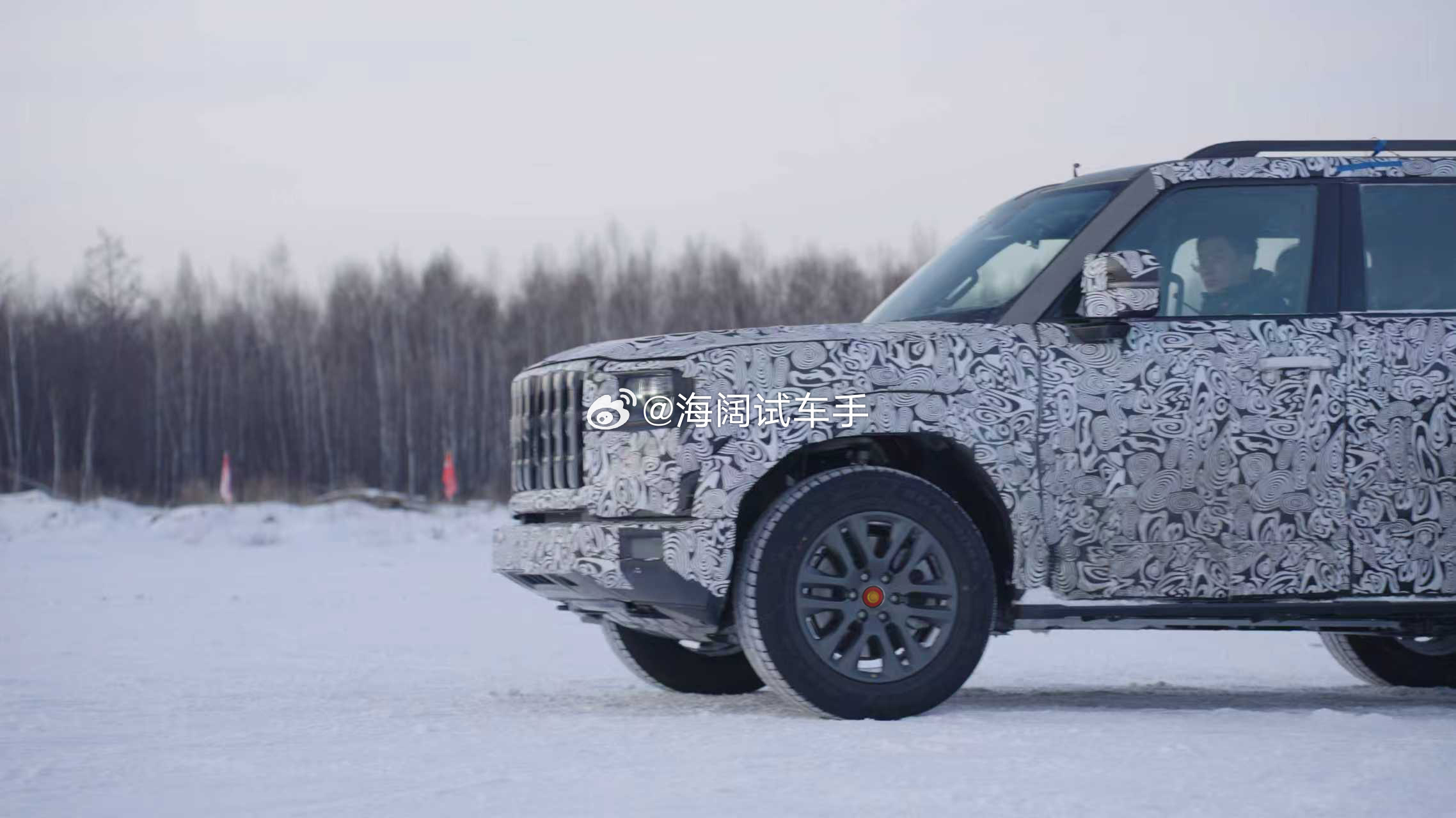 金葵花越野车？？？这个LOGO可是寓意不凡啊~~~通过照片能看到前悬挂的成本不低