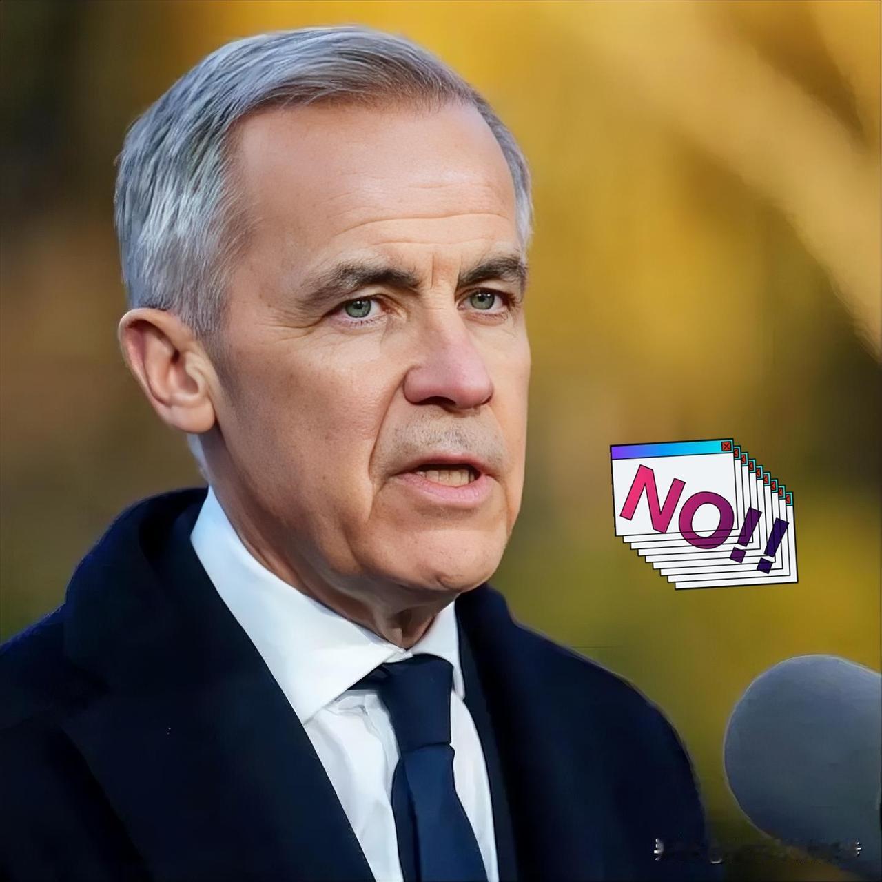 加拿大总理马克·卡尼1月18日在卡塔尔多哈表示：如果美国入侵格陵兰岛，加拿大将视