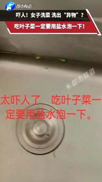 我滴妈呀，刚刷到一个重庆姐妹的视频，晚饭差点当场吐出来。
她洗完一把空心菜，水放