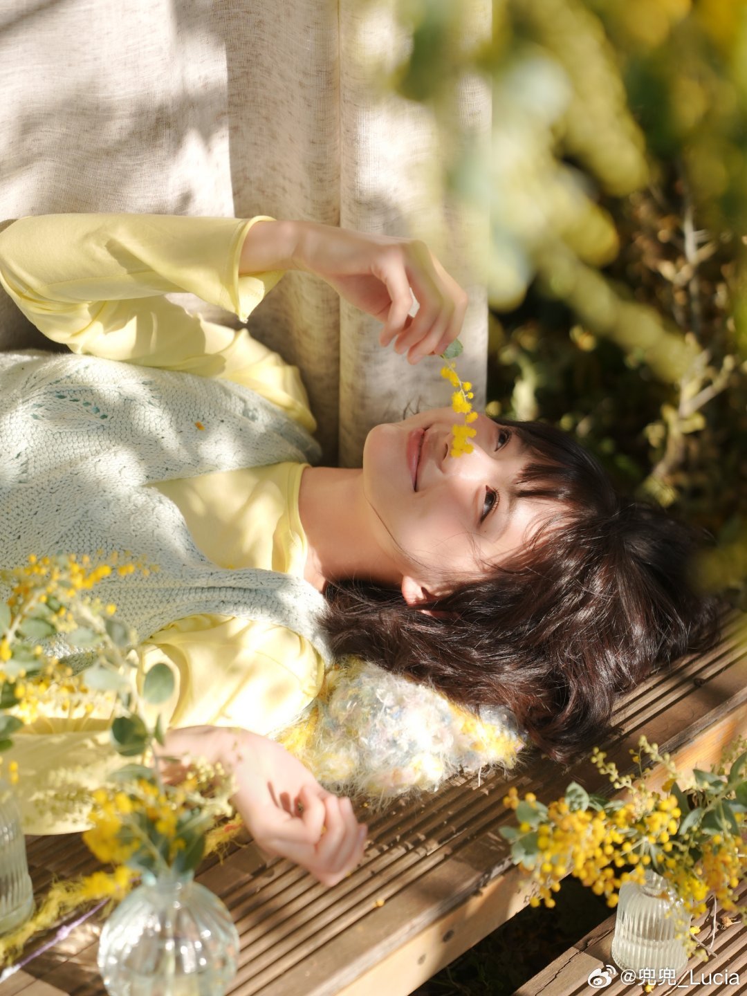 是金合欢盛开的冬天🍃～冬天摄影课程摄影拍照